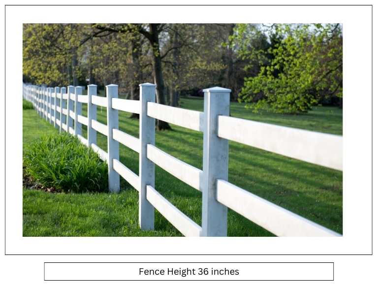 Fence Height 36 inches
