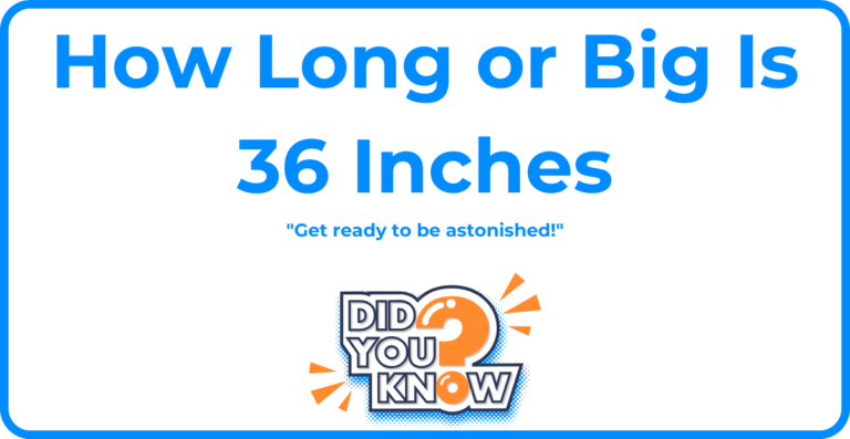 How Long or Big Is 36 Inches